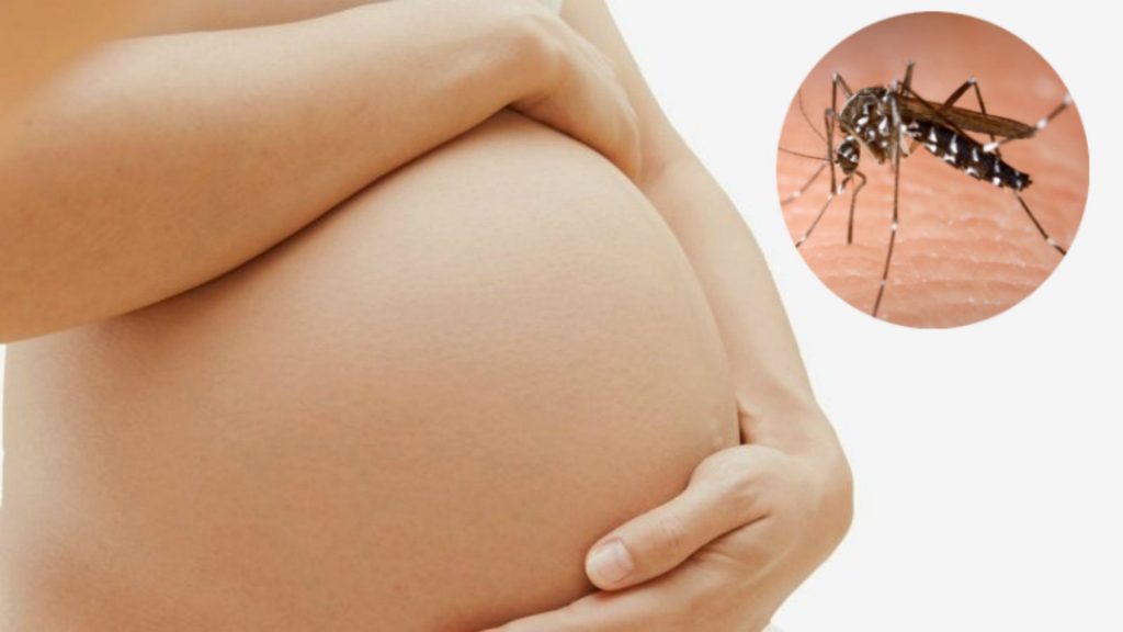 zika-virus-everything-pregnant-woman-know