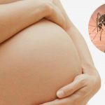 zika-virus-everything-pregnant-woman-know