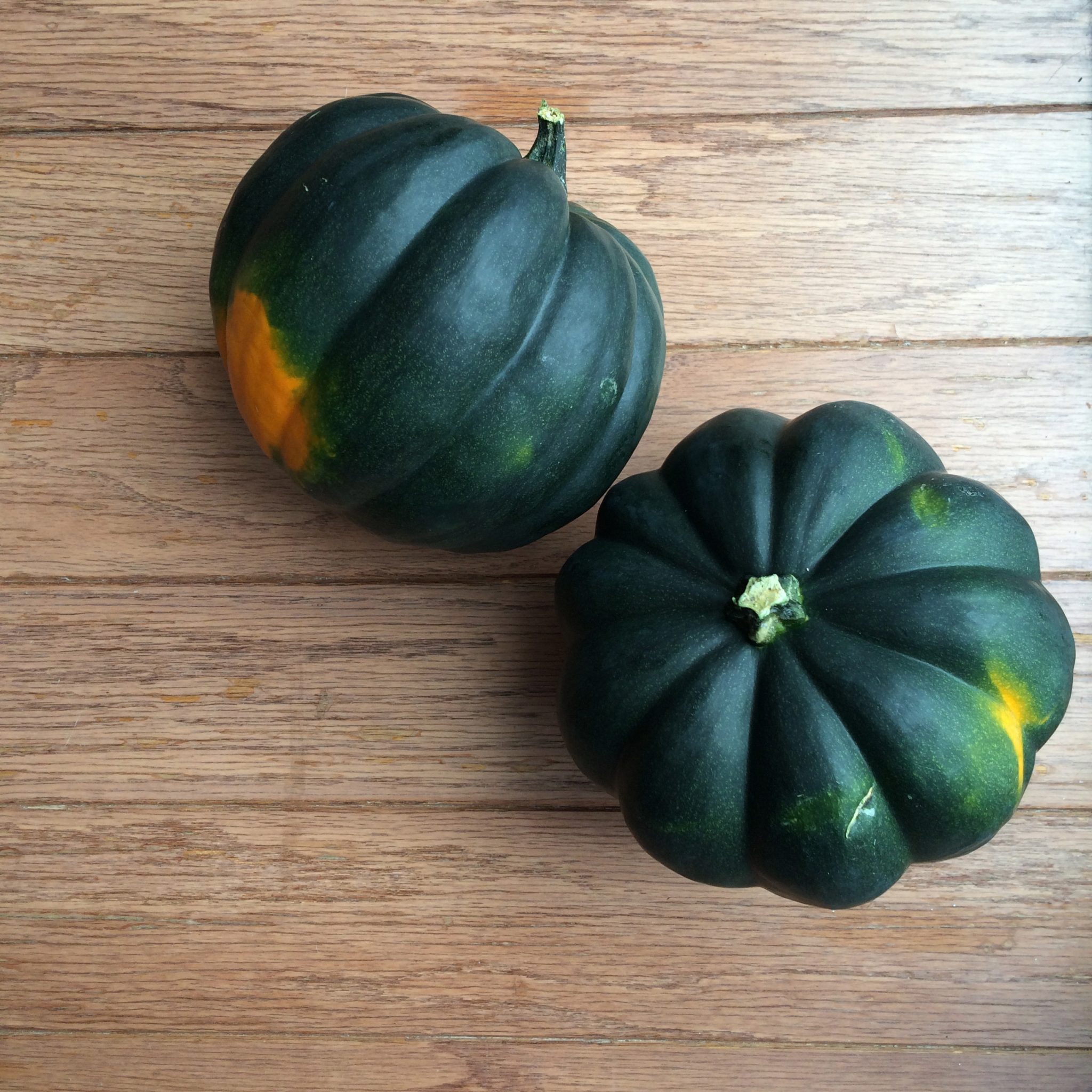 pregnancy-week25