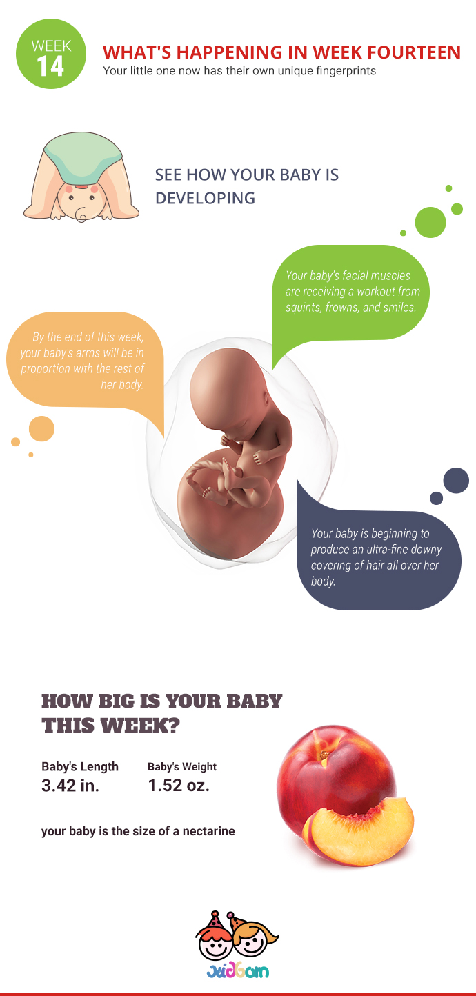 infographics-week14