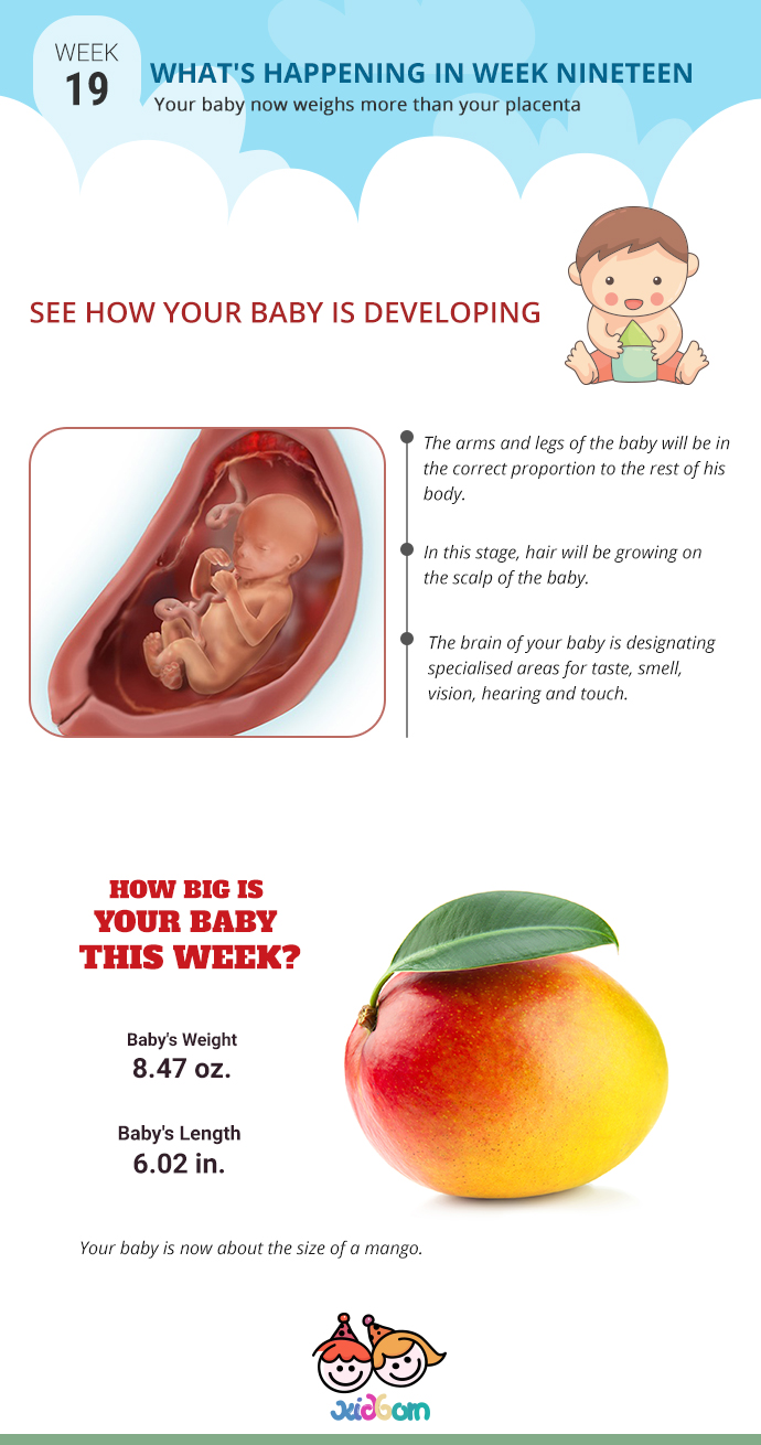 infographics-week19