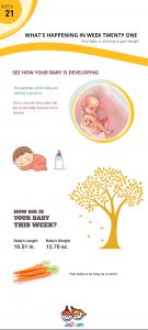 infographics-week21