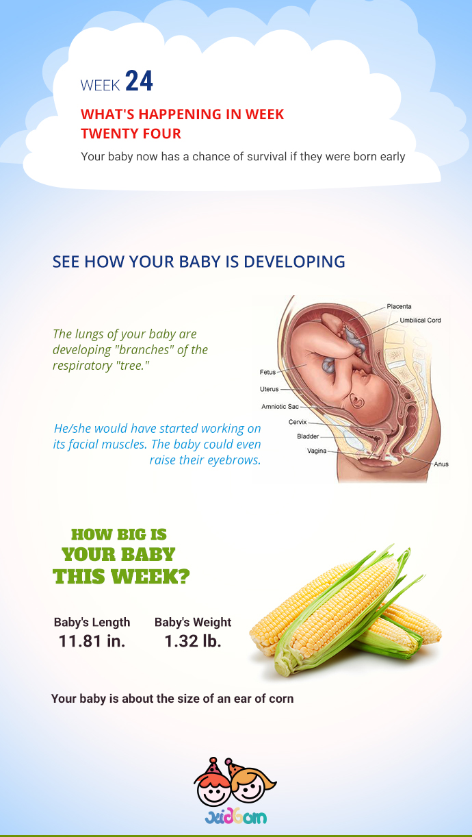 infographics-week24