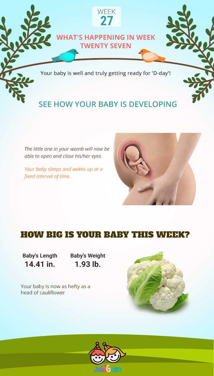 infographics-week27