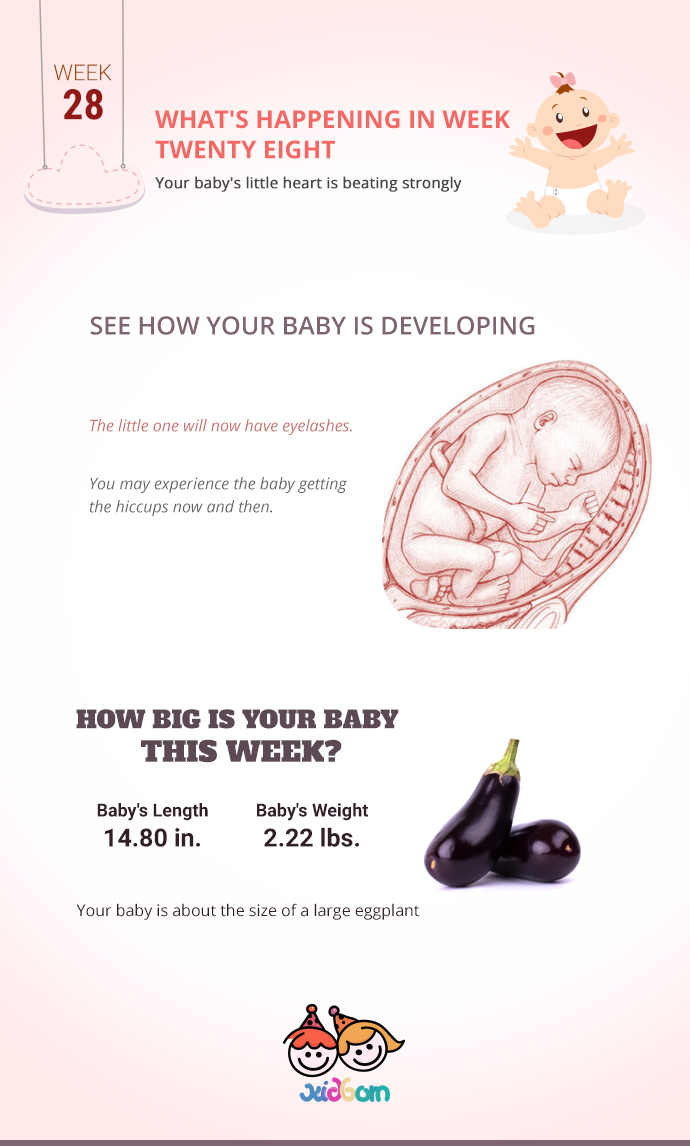 infographics-week28
