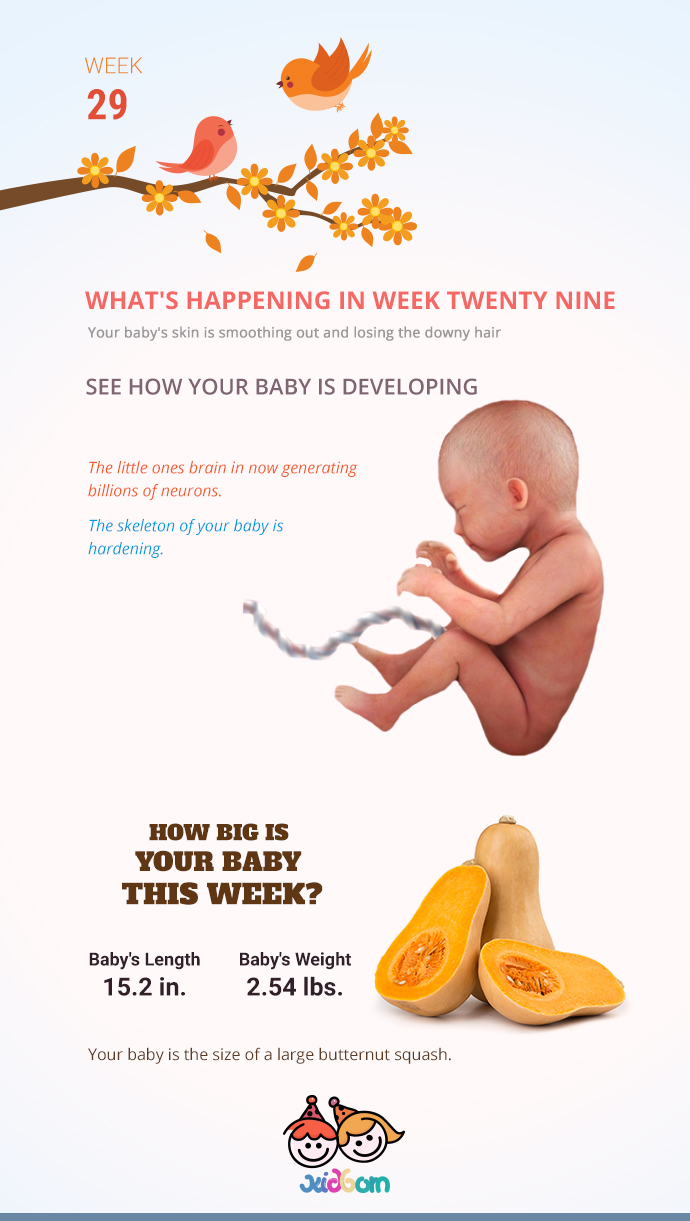 infographics-week29