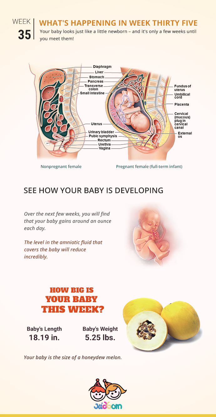 infographics-week35