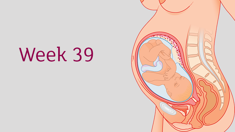 39-weeks-pregnent