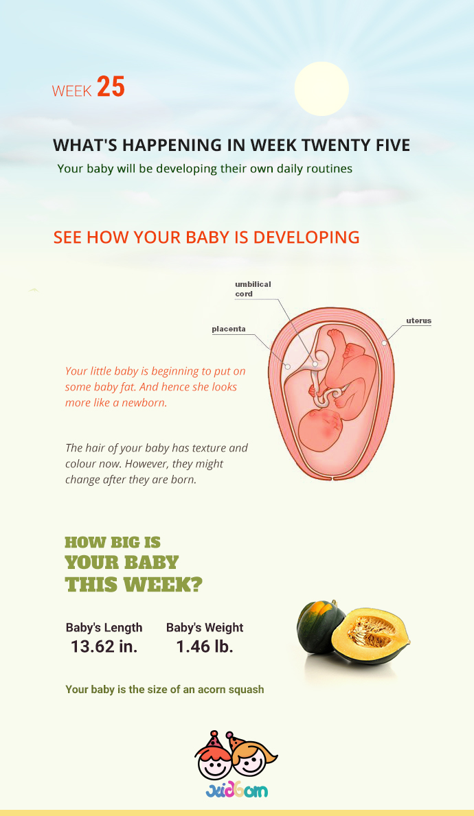 infographics-week25