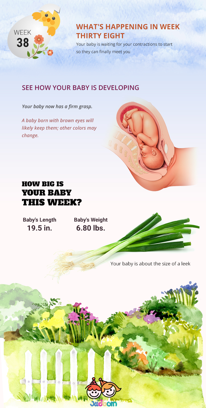 infographics-week38