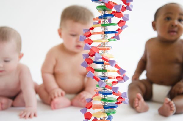 genetics-influence-babys-personality-looks