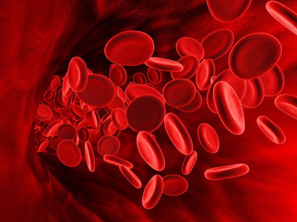 blood-clots-pregnancy-symptoms-treatment-prevention