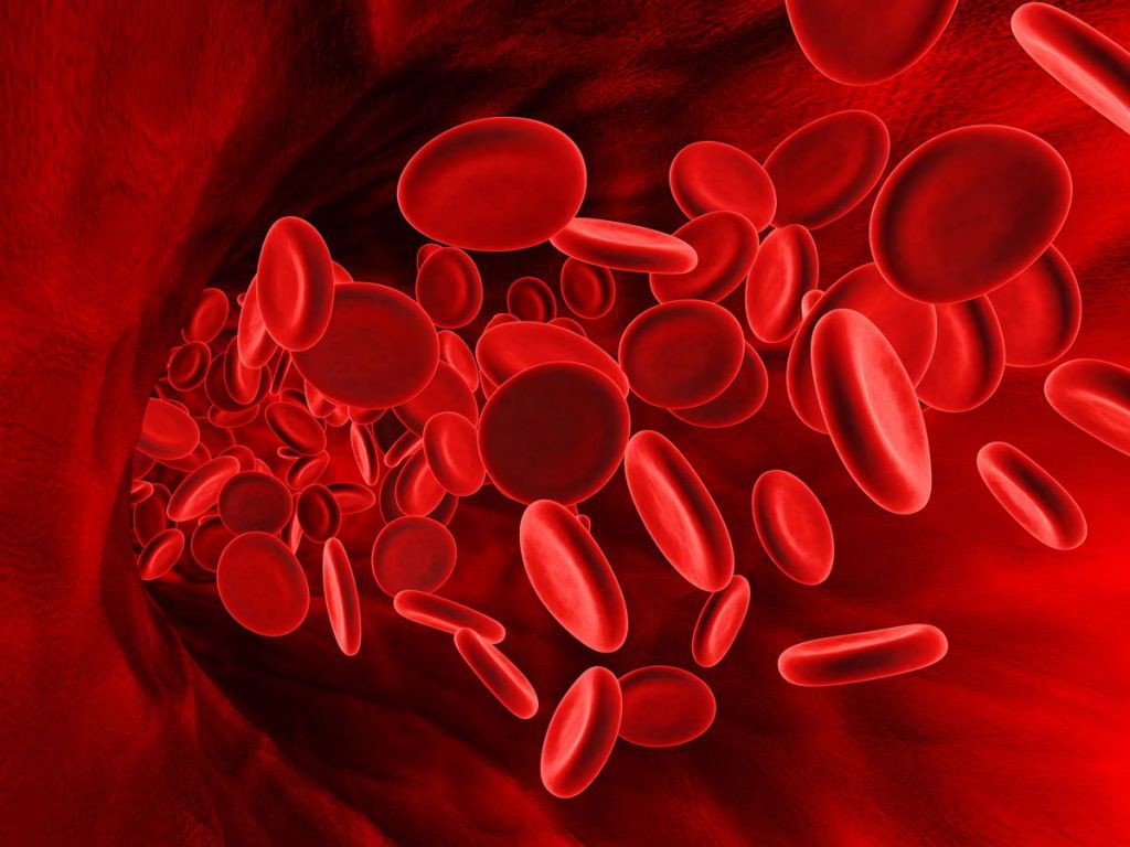 Symptoms, Treatment and Prevention of blood clots during pregnancy