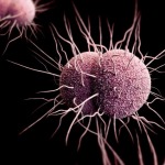 gonorrhea-during-pregnancy