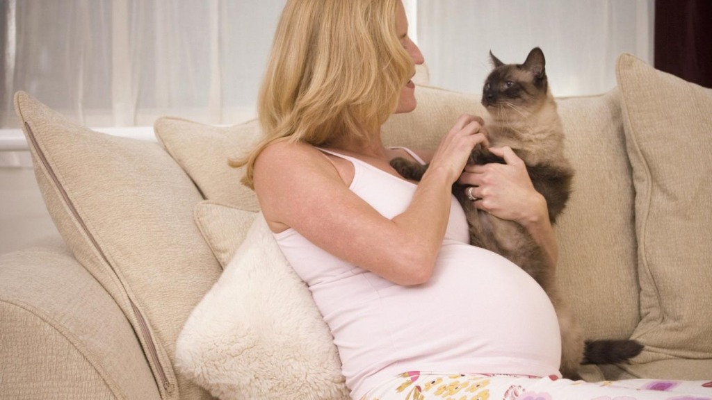 pregnancy-toxoplasmosis-cat