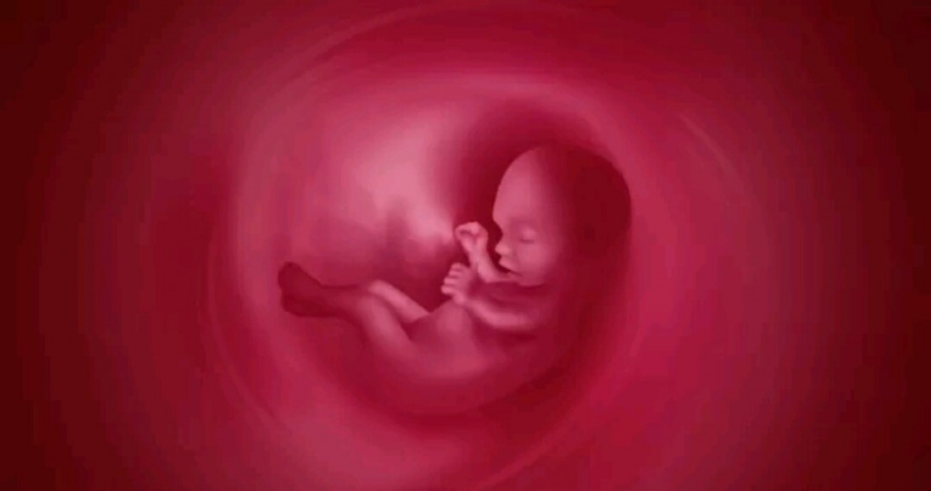 placenta-previa-kidborn.com