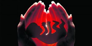 pregnancy-abortion-kidborn